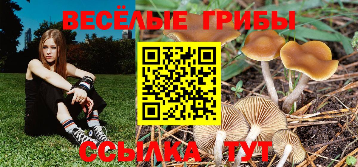Псилоцибиновые грибы мицелий  Вход с VPN  Ялуторовск 